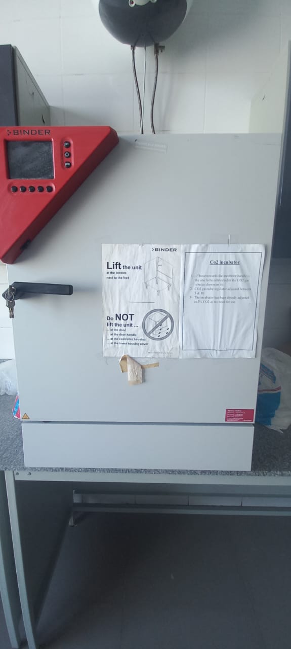 Binder incubator